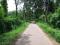  5.5-acre coffee estate in Coorg